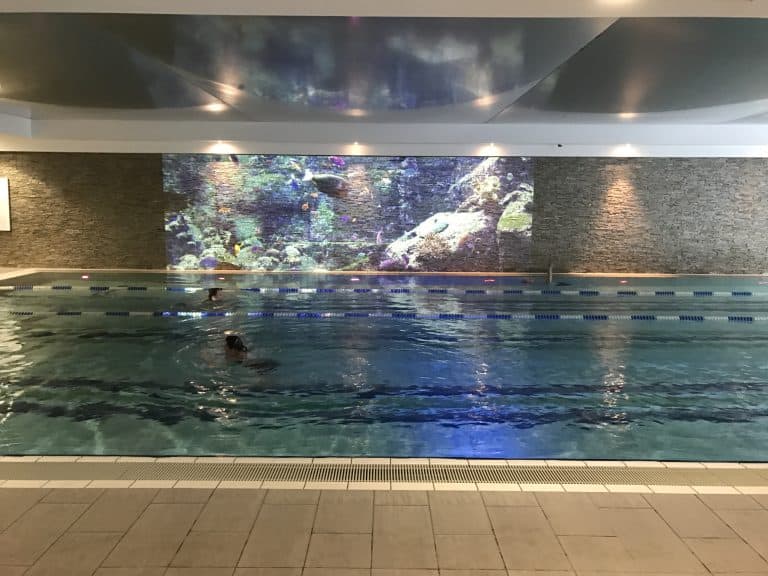 aquarium projektion mieten