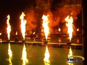 Flamemaster am Wasser